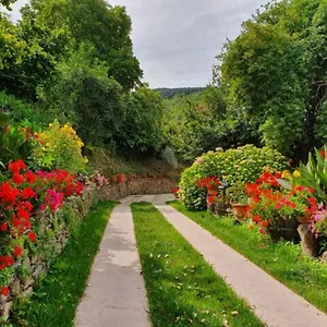 Agrifoglio Con Giardino , Aritzo Italie